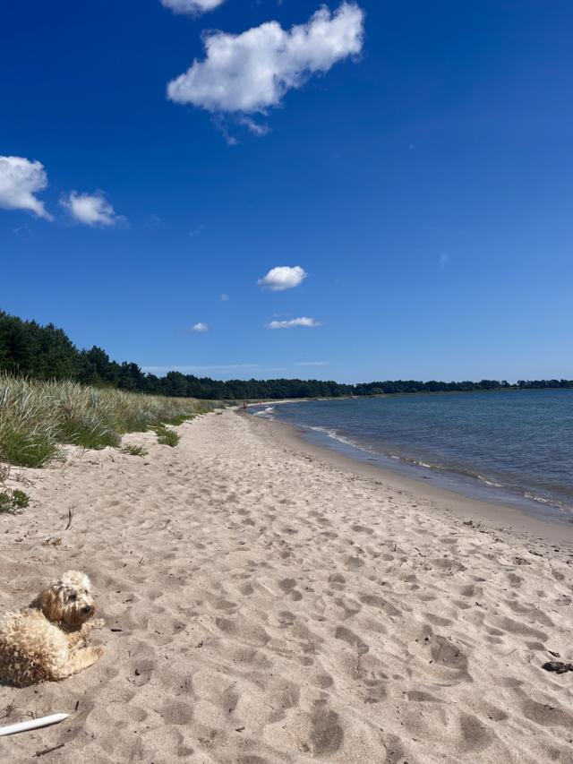 Augustisommar