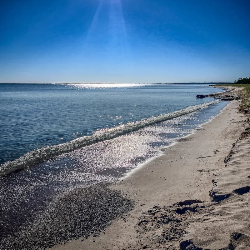 Sandstrand nära stugan