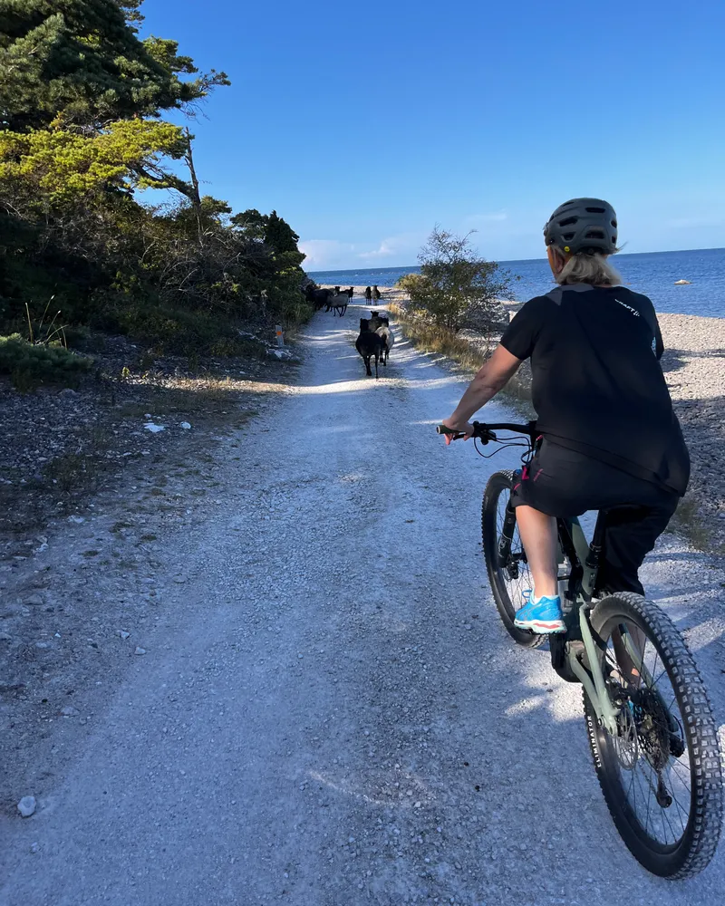 Cykeltur längs grusvägen på Östergarnslandet