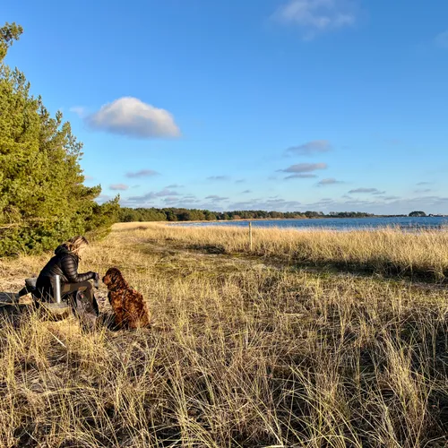 Fikapaus vid havet med termos